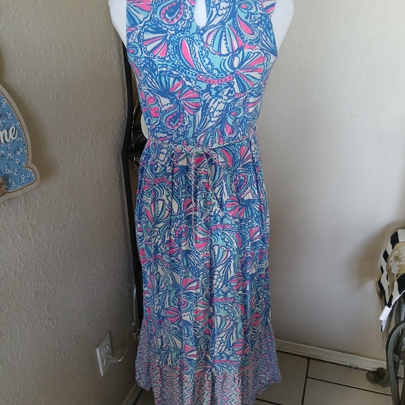 Lilly Pullitzer Sleeveless Floral Maxi Dress in Blue and Pink - Picture 4 of 9